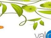 desmaquillante ojos VALPHARMA