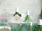 falta espacio, plantas colgantes