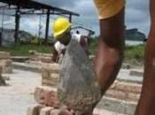 Cuba, transformaciones hacia actualización socioeconómica