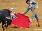 Manzanares faltado respeto'