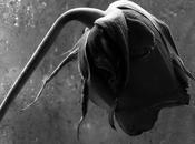 "Otello" Verdi corno inglés