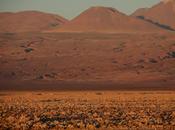 Atacama, colores desierto