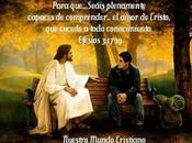 Cuando sintamos decepcionados