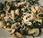 Revuelto espinacas langostinos, champiñones gulas