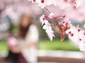 Flowers blooming