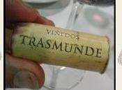 VIÑEDOS TRASMUNDE, vinos gallegos Cádiz.