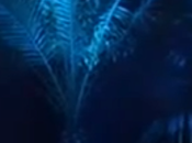 Poesía: oasis palmeras azules