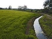 Recomendaciones consumidores