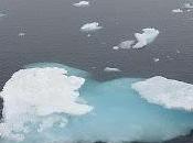 expande hielo marino Antártida mientras Ártico reduce