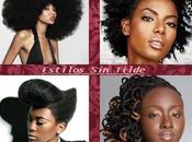 Peinados para mujeres negras 2013