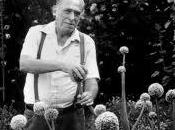 amable Charles Bukowski
