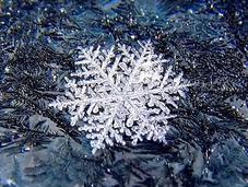 ¿Cuánto pesa copo nieve?