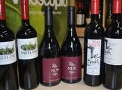 Club vinos vinoscopioadictos mayo 2013