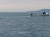 ¿Filmado Irlanda nuevo monstruo Lago Ness?