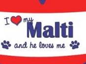 querido Malti