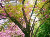 abril...