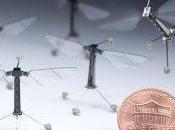 Robots alados tamaño moneda para entender vuelo insectos
