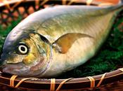 peces mundo están contaminados altos niveles mercurio