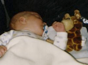 Viajar avión bebés niños