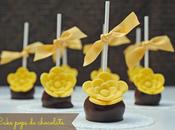 Cake pops chocolate [celebrando primavera]