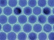 Nanocristales estaño mejoran baterías ión-litio