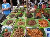 Recetas para comer insectos