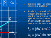 Fisica Fundamentos Cinematicos Clase