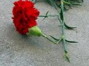 Clavel sobre Concreto
