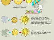 solo erratas entrada ayer