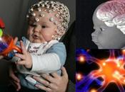 cerebro bebé: cuándo aparece conciencia