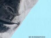 Borgman review