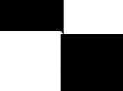 Pensamientos Distorsionados: Polarización. Blanco Negro