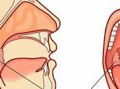 ESPECIAL SALUD: "Las Amígdalas"