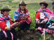 nostalgia vida, colores Bolivia...