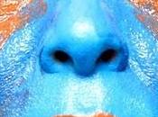 Exposición fotográfica Pedro Walter BAires Café Madrid