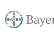 Becas Fundacion Bayer Alemania 2010