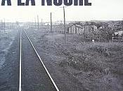 noche llama