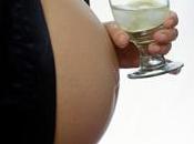 alcohol embarazo perjudica fertilidad hijos varones