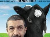 Silencio morbo