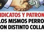 mismos perros distinto collar