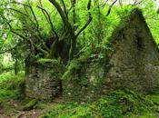 Ruinas, parte
