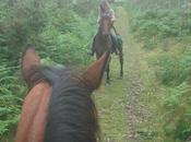 aventura vivir!!! recuerdo equino, verbena Bordel Carral