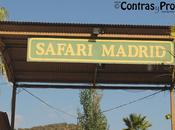 Safari Madrid