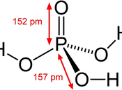 Estructura molecular fuerza ácidos