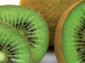 Propiedades kiwi