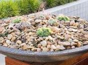 Exteriores Vanguardistas