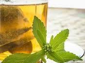 Stevia: Dulzura Planta Prohibida