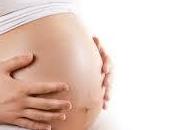 papel progesterona embarazo