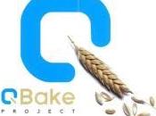 Proyecto QBake