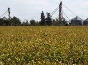 Argentina China amplían lazos comerciales para soja maíz